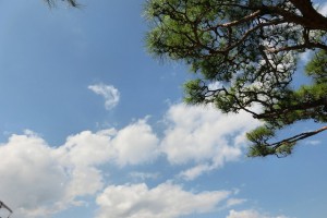 CIMG0062